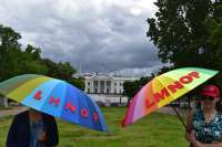 Launching of the LMNOP+ Movement, with a "Make the Family Great Again" task force!
LMNOP means: Lifestyle Mainstream Normal Ordinary People!
