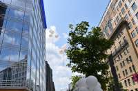 Photo of Downtown DC by Public Advocate during Pro-Trump presentation #Trump #TrumpAcceptanceSpeech #RNC #TrumpBalloon  