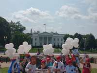 Pro-Trump presentation by Public Advocate featuring LMNOP Team #Trump #TrumpAcceptanceSpeech #RNC #TrumpBalloon